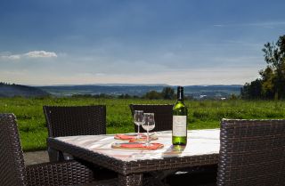 Bauernhof Gailingen am Hochrhein Weingut Zolg Fw2 picture 2